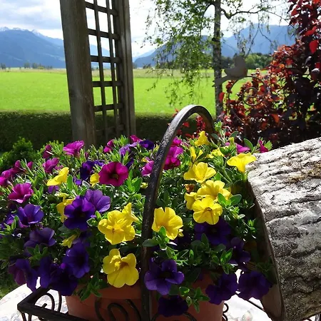 Adlerhof Am Sonnenplateau Hotel