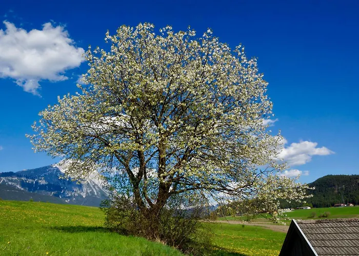 Szálloda Adlerhof Am Sonnenplateau Mieming