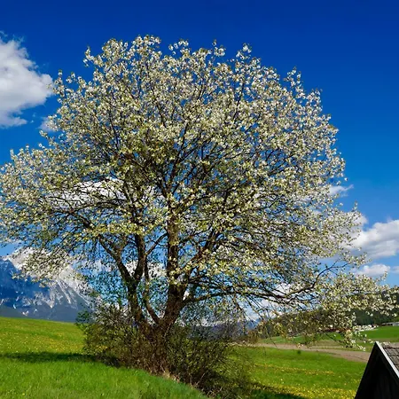 Hotel Adlerhof Am Sonnenplateau Mieming